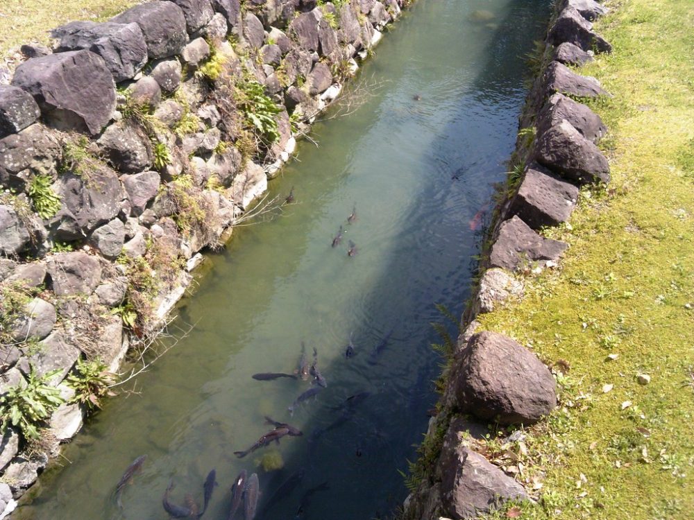 駿府城公園12