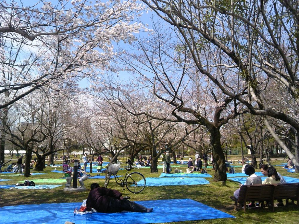 駿府城公園13
