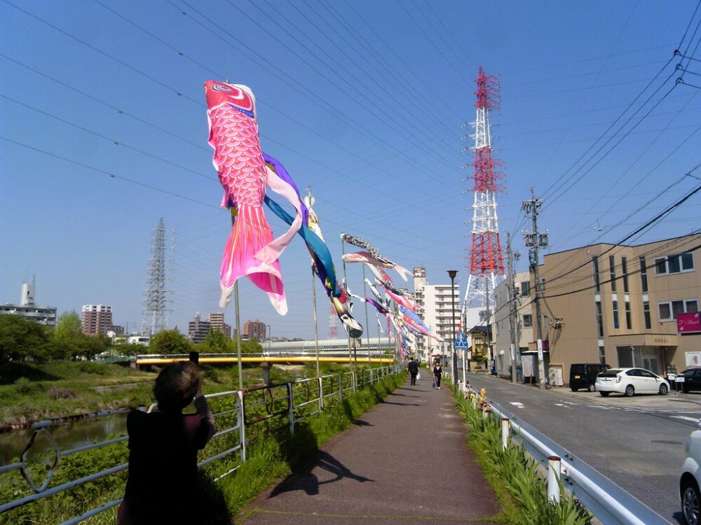 サイクリング日記　2015年4月25日　天白川の鯉のぼり