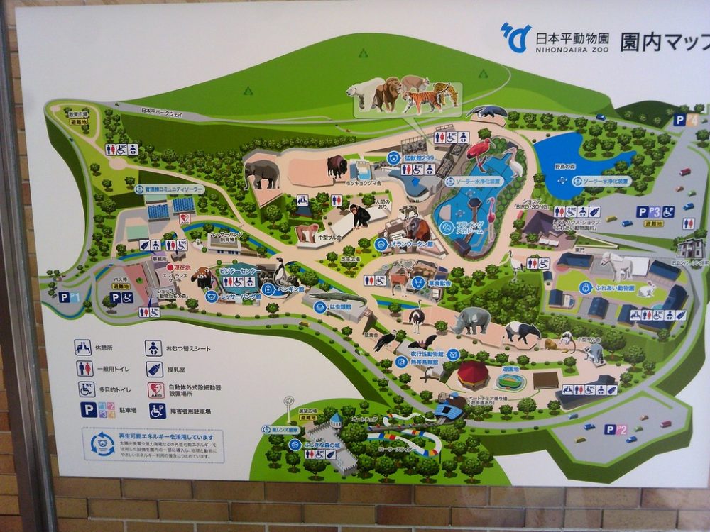 日本平動物園8
