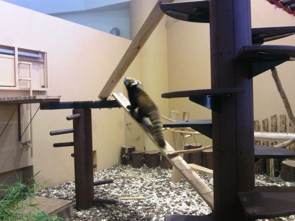 日本平動物園　ビジターセンター7