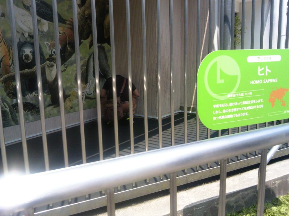 日本平動物園　まっしゅ