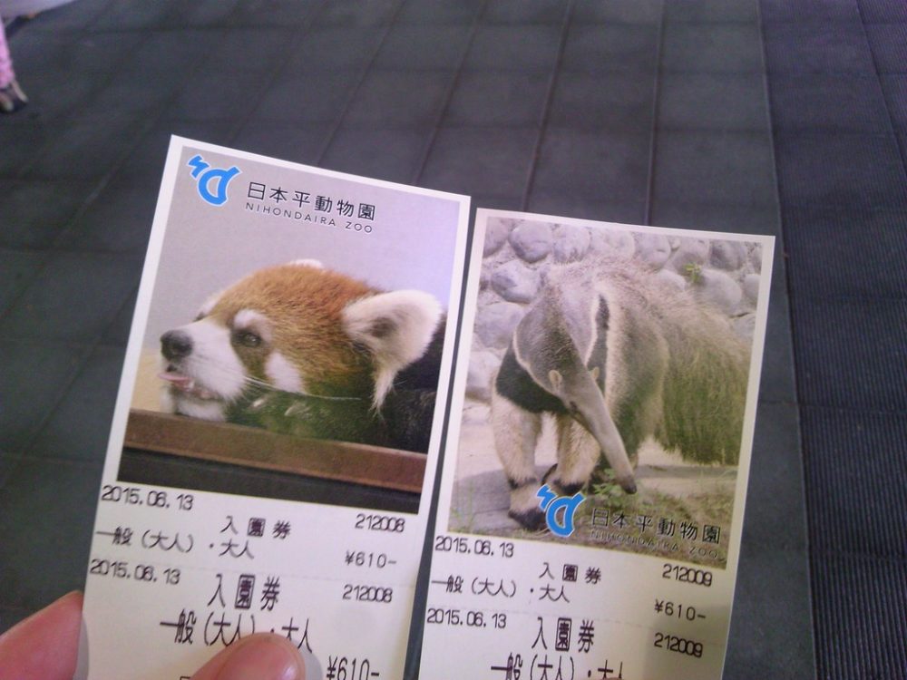 日本平動物園4