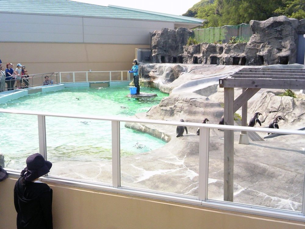 日本平動物園　ペンギン館