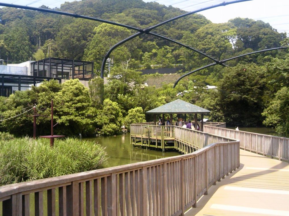 日本平動物園 フライングメガドーム4