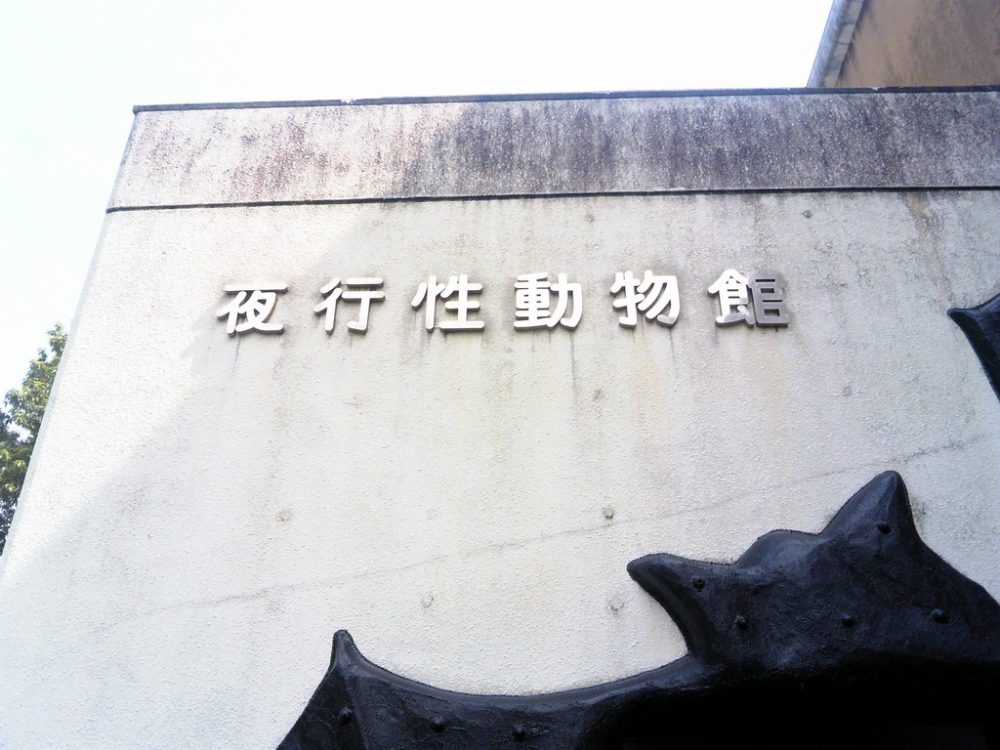 日本平動物園 夜行性動物館