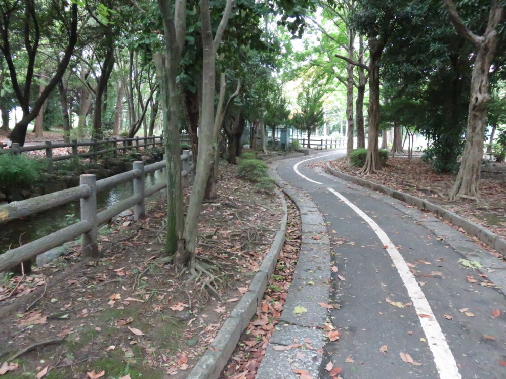 大江川緑地　サイクリングロード