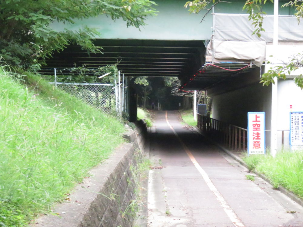 大江川緑地　サイクリングロード2